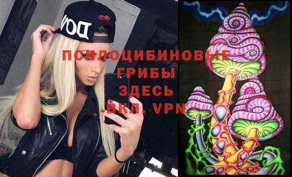 метадон Верея
