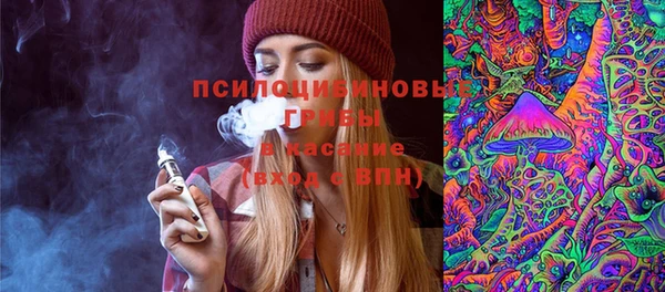 а пвп мука Верхний Тагил