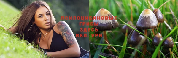 метадон Верея
