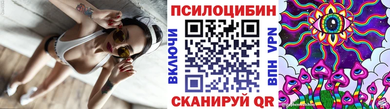 Купить  Куртамыш  Псилоцибиновые грибы ЛСД 